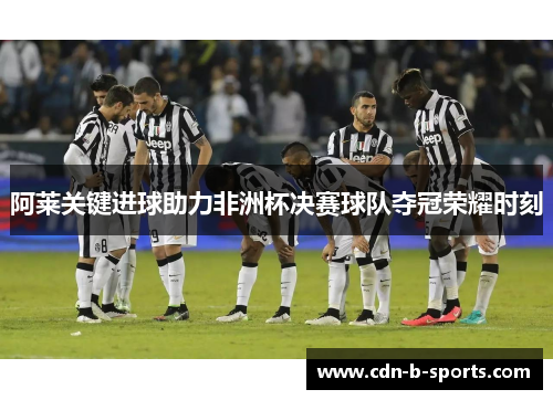 阿莱关键进球助力非洲杯决赛球队夺冠荣耀时刻