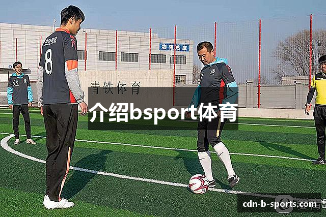 介绍bsport体育
